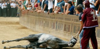 PALIO DI SIENA “DIFESA TRADIZIONE E MAGGIORE TUTELA ANIMALI”