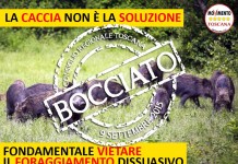 PARTITO UNICO SCEGLIE LA LOBBY DEI CACCIATORI. SU UNGULATI ERRORE CHE PAGHEREMO