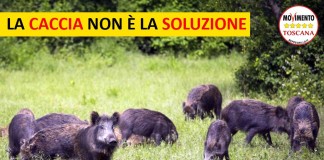 LA CACCIA NON È SOLUZIONE. FONDAMENTALE VIETARE IL FORAGGIAMENTO DISSUASIVO