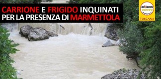 CARRIONE E FRIGIDO INQUINATI PER LA MARMETTOLA. RISCHIO SANITARIO E AMBIENTALE