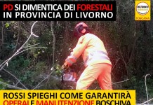 QUALE FUTURO PER FORESTALI DELLA PROVINCIA DI LIVORNO?