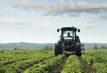 ABOCA PATRIMONIO DA TENERE IN TOSCANA