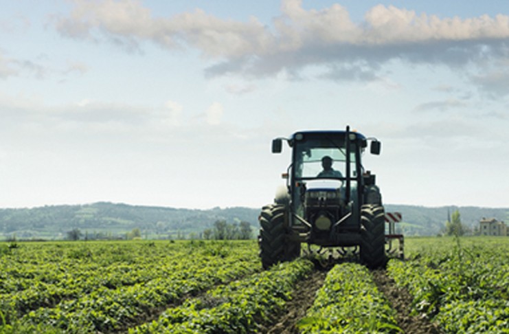 ABOCA PATRIMONIO DA TENERE IN TOSCANA