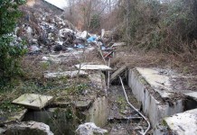 EX CJMECO, ASSESSORA FRATONI ACCOGLIE NOSTRA RICHIESTA TAVOLO RISOLUTIVO