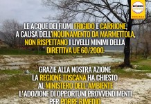 INQUINAMENTO MARMETTOLA “DOPO NOSTRA AZIONE REGIONE CHIEDE PROVVEDIMENTI A MINISTERO”