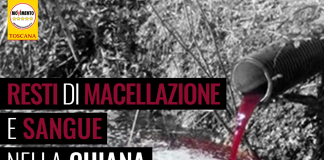 MATTATOIO SINALUNGA “RESTI DI MACELLAZIONE E SANGUE NELLA CHIANA, NON SIA SCARICABARILE”