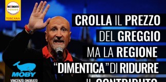MOBY/TOREMAR “PREZZO DEL GREGGIO GIU’ DA DUE ANNI, REGIONE TOSCANA RIDUCA CONTRIBUTO PUBBLICO”