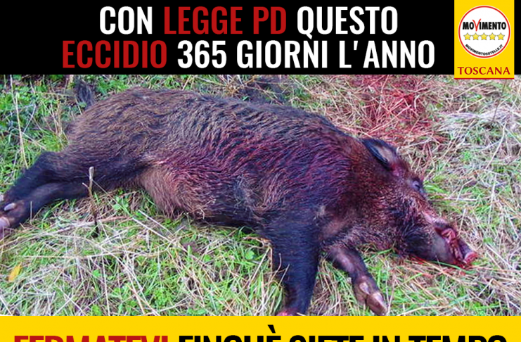 UNGULATI “ROSSI FERMI LEGGE STERMINATRICE DI REMASCHI. EPISODIO SCUOLA MARCONI, ANTIPASTO DI COSA SUCCEDERA'”