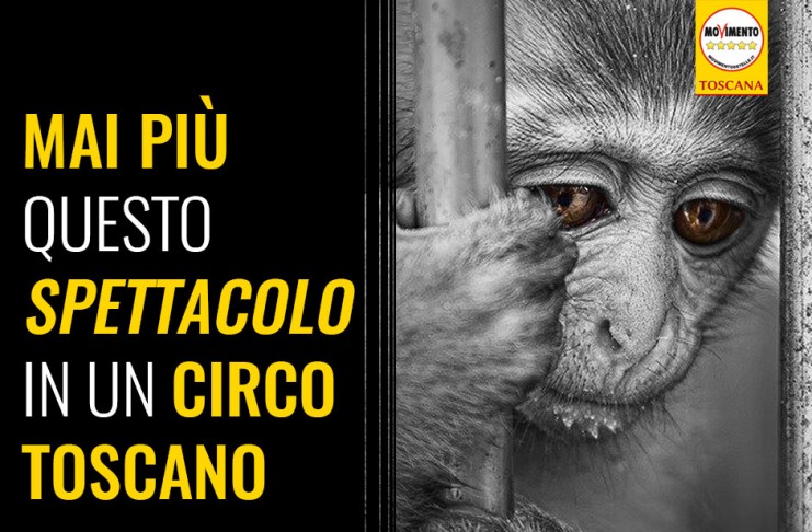 CIRCHI “VITTORIA 5 STELLE: BASTA SPETTACOLI CON ANIMALI FORZATI CONTRO NATURA”