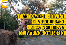 VERDE URBANO “SERVE MAPPATURA REGIONALE E PIANIFICAZIONE CON CRITERI DI QUALITA'”