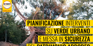 VERDE URBANO “SERVE MAPPATURA REGIONALE E PIANIFICAZIONE CON CRITERI DI QUALITA'”