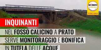 PRATO “INQUINANTI NEL FOSSO CALICINO, SERVE MONITORAGGIO E BONIFICA. QUELL’ACQUA SERVE LE COLTIVAZIONI INTORNO”