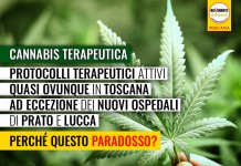 SANITA’ “CANNABIS TERAPEUTICA, OTTIMA SPERIMENTAZIONE. PERCHÉ INATTIVA NEI NUOVI OSPEDALI DI PRATO E LUCCA?”