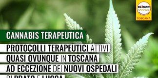 SANITA’ “CANNABIS TERAPEUTICA, OTTIMA SPERIMENTAZIONE. PERCHÉ INATTIVA NEI NUOVI OSPEDALI DI PRATO E LUCCA?”