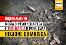 INQUINAMENTO “MORIA PESCI NELLA PESA, BASTA SCARICABARILE: E’ PUBLIACQUA IL PROBLEMA?”