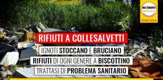 RIFIUTI / COLLESALVETTI “BISCOTTINO PROBLEMA IGIENICO SANITARIO. COMUNE SOTTOVALUTA, REGIONE INTERVENGA”