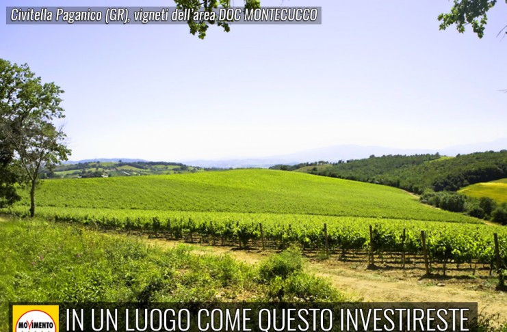 CIVITELLA PAGANICO (GR) “COMUNE REINVESTE SU DISCARICA CANNICCI? REGIONE VIGILI SU PROTEZIONE IMMAGINE DEL TERRITORIO E VIGNETI DI MONTECUCCO”