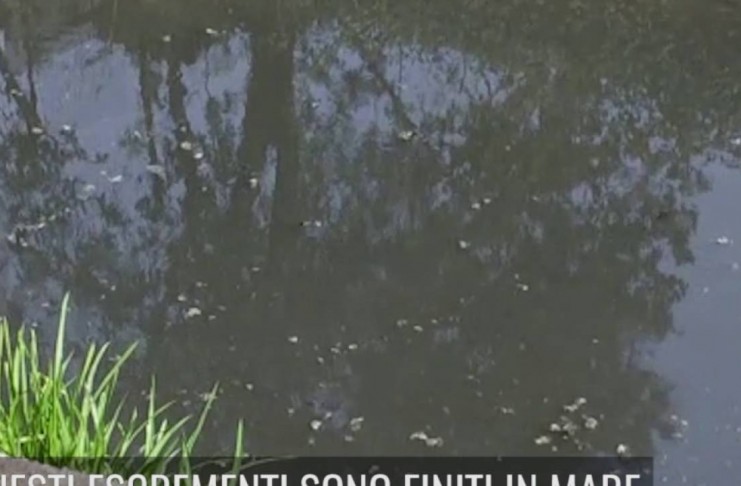 ACQUE REFLUE “BASTA ESCREMENTI NEL MARE APUO VERSILIESE. PASSA NOSTRA LINEA: SE COMUNI INCAPACI SUBENTRERÀ LA REGIONE”