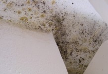 CASA “A SAN LORENZO A GREVE ALTRO CHE CASE POPOLARI. PERCHE’ REGIONE NON RISPONDE A DENUNCE?”