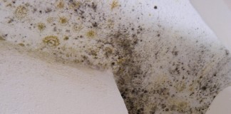 CASA “A SAN LORENZO A GREVE ALTRO CHE CASE POPOLARI. PERCHE’ REGIONE NON RISPONDE A DENUNCE?”