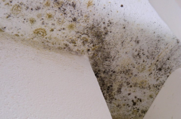 CASA “A SAN LORENZO A GREVE ALTRO CHE CASE POPOLARI. PERCHE’ REGIONE NON RISPONDE A DENUNCE?”