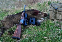 M5S “IN TOSCANA LA LEGGE STRAORDINARIA SULLA CACCIA VIENE APPLICATA TUTTO L’ANNO”