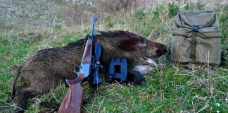 M5S “IN TOSCANA LA LEGGE STRAORDINARIA SULLA CACCIA VIENE APPLICATA TUTTO L’ANNO”