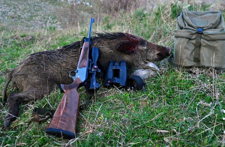 M5S “IN TOSCANA LA LEGGE STRAORDINARIA SULLA CACCIA VIENE APPLICATA TUTTO L’ANNO”