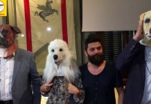 “PARALLELE” UN VIDEOCLIP DI SENSIBILIZZAZIONE CONTRO IL FENOMENO DELL’ABBANDONO DEGLI ANIMALI