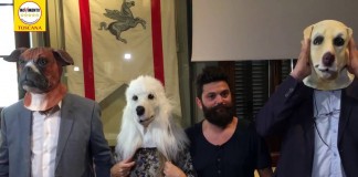 “PARALLELE” UN VIDEOCLIP DI SENSIBILIZZAZIONE CONTRO IL FENOMENO DELL’ABBANDONO DEGLI ANIMALI