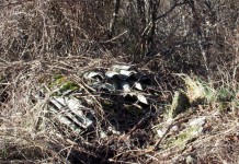 RIFIUTI / LUNIGIANA “DISCARICA A SASSALBO, AMIANTO ABBANDONATO VICINO A CORSO D’ACQUA. SE COMUNE E’ RASSEGNATO INTERVENGA LA REGIONE”