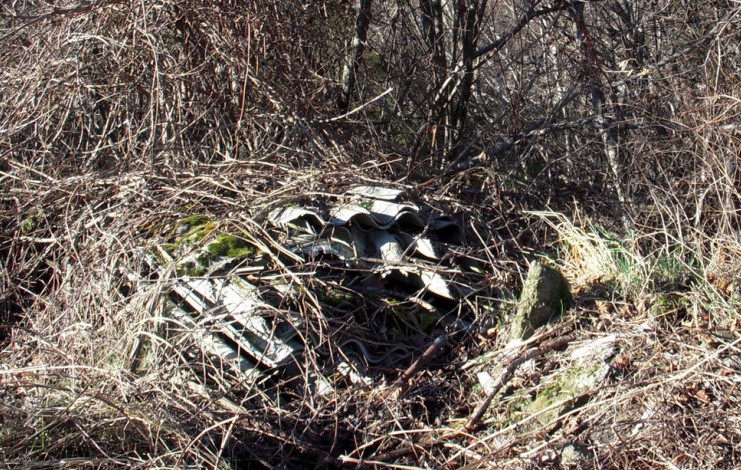 RIFIUTI / LUNIGIANA “DISCARICA A SASSALBO, AMIANTO ABBANDONATO VICINO A CORSO D’ACQUA. SE COMUNE E’ RASSEGNATO INTERVENGA LA REGIONE”