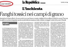 INCHIESTA FANGHI E SCARTI PULPER. “PD IN SILENZIO E ROSSI PARLA DEL FILM DI KEN LOACH. PERCHÉ?”