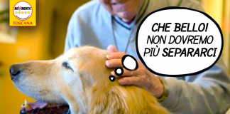 VITTORIA M5S, ANIMALI D’AFFEZIONE IN RSA