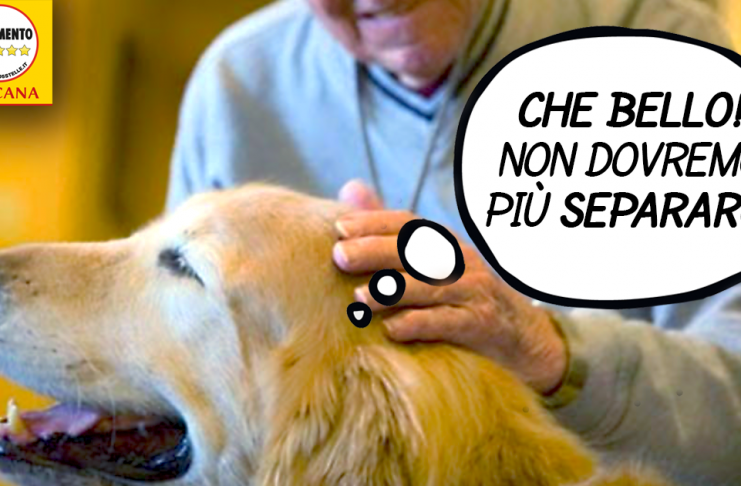VITTORIA M5S, ANIMALI D’AFFEZIONE IN RSA