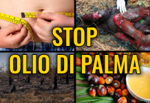 PRODOTTI CON OLIO DI PALMA VIA DA BAR E DISTRIBUTORI DELLE STRUTTURE PUBBLICHE REGIONALI