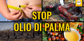 PRODOTTI CON OLIO DI PALMA VIA DA BAR E DISTRIBUTORI DELLE STRUTTURE PUBBLICHE REGIONALI