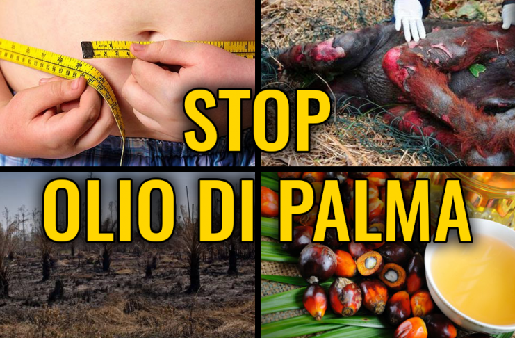 PRODOTTI CON OLIO DI PALMA VIA DA BAR E DISTRIBUTORI DELLE STRUTTURE PUBBLICHE REGIONALI