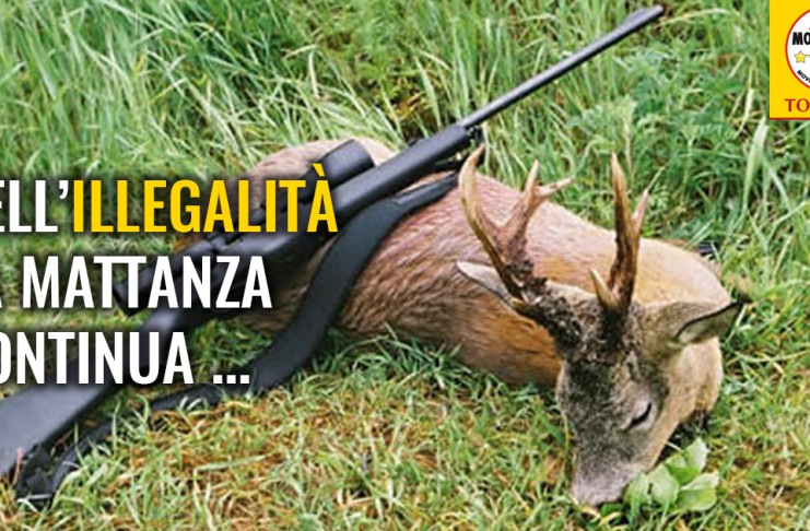 CACCIA “REGIONE INVENTA IL TESSERINO PROVVISORIO, MA E’ FUORILEGGE”