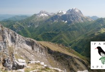 PARCO ALPI APUANE, NO AL PUTAMORSI-BIS. NOSTRA LETTERA A ROSSI