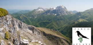 PARCO ALPI APUANE, NO AL PUTAMORSI-BIS. NOSTRA LETTERA A ROSSI