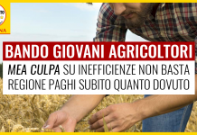 BASTA RITARDI SUI SOLDI AI GIOVANI AGRICOLTORI. GIUNTA LIQUIDI IL DOVUTO E POI SCOPRA CAUSE DI INEFFICIENZE E RITARDI
