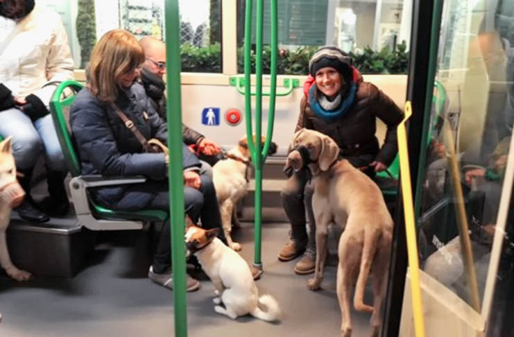 ANIMALI D’AFFEZIONE SUL BUS, IN TUTTA LA TOSCANA. MANCAVA OMOGENEITA’, ECCO LA NOSTRA PROPOSTA DI LEGGE