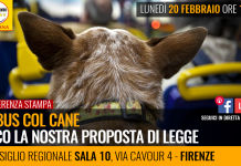 IN BUS COL CANE. ECCO LA NOSTRA PROPOSTA DI LEGGE