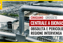 CENTRALE A BIOMASSE PERICOLOSA A CINIGIANO (GR). AGGIORNAMENTO PER ABBATTERE FUMI O REVOCA AUTORIZZAZIONE
