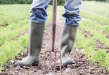 PD AMMETTE RITARDI SUI BANDI AI GIOVANI AGRICOLTORI, MA VOTA CONTRO ANALISI PER SCOPRIRE MOTIVI INEFFICIENZA