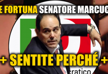 TARDA GARA REGIONALE E NE BENEFICIA … AZIENDA SEN. MARCUCCI (PD)