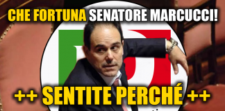 REGIONE BLINDA DEPOSITO DEL SENATORE, PER GARA TPL. A MARCUCCI & SOCI 40MILA EURO L’ANNO ANCHE CON NUOVO GESTORE UNICO