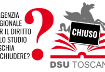 50 MILIONI DI RIMBORSI IVA ILLEGITTIMI PER DSU. COM’È POTUTO ACCADERE E CHI SALDA?