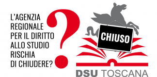 50 MILIONI DI RIMBORSI IVA ILLEGITTIMI PER DSU. COM’È POTUTO ACCADERE E CHI SALDA?